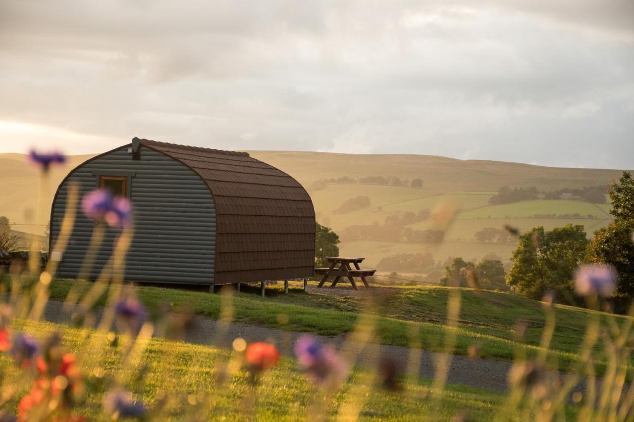 הוילה הקסהאם Wild Northumberland Glamping מראה חיצוני תמונה