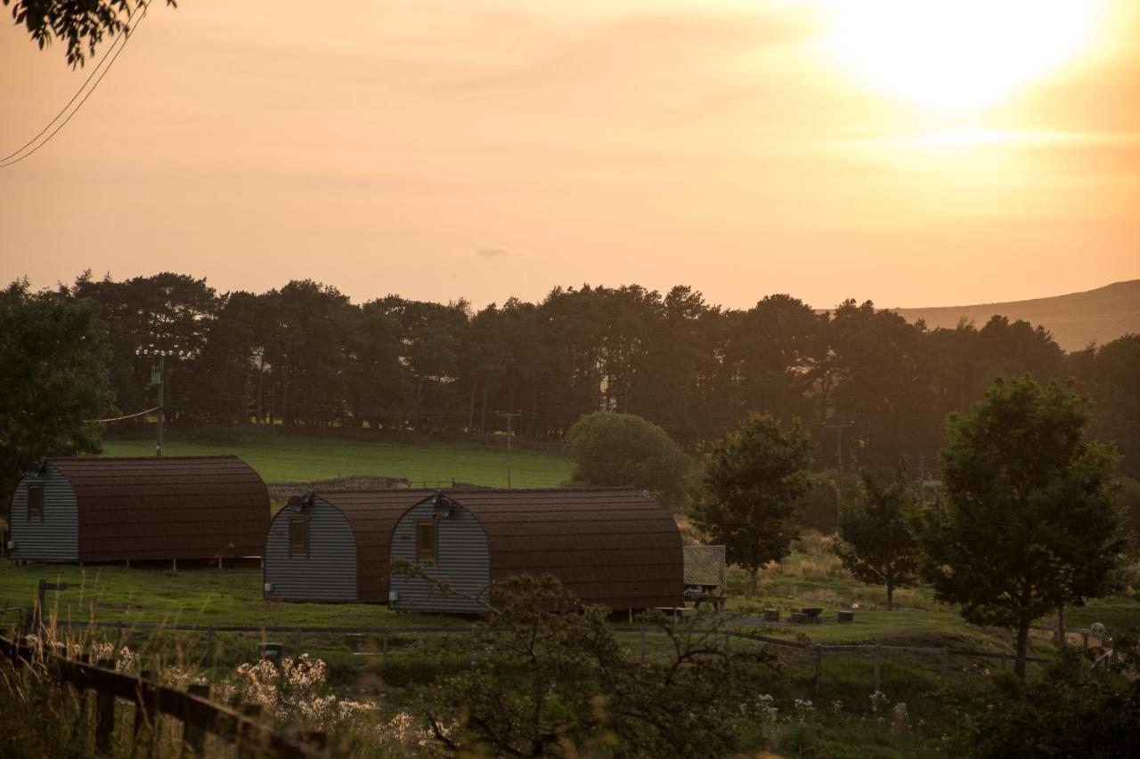 הוילה הקסהאם Wild Northumberland Glamping מראה חיצוני תמונה